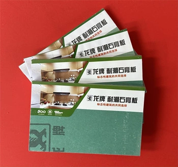 BNBM Dragon Brand: Premium Moisture Resistant Gypsum Board